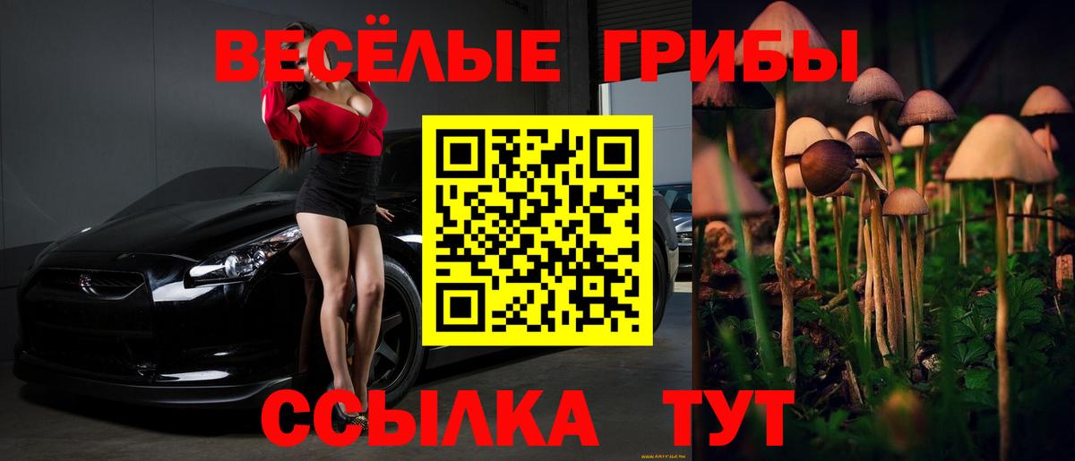 Псилоцибиновые грибы мицелий Нурлат